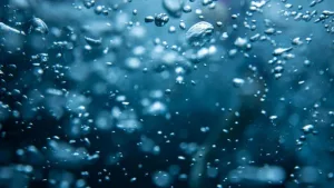 Oxigênio: imprescindível para os peixes